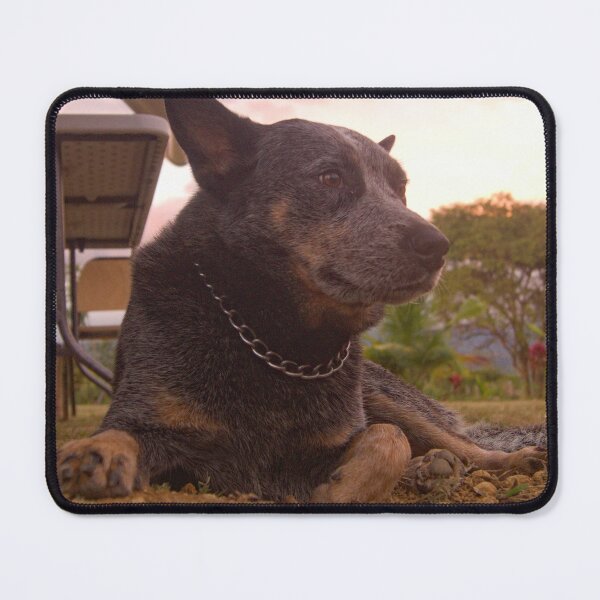 Item preview, All Acd designed and sold by pcfyi.