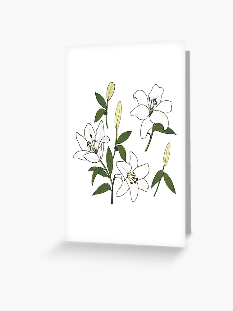 Tarjetas de felicitación «amante de la flor de gardenia» de Sidouseller |  Redbubble