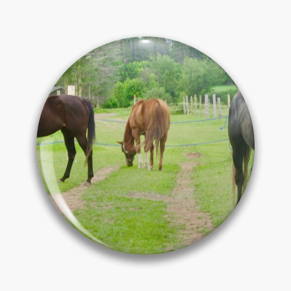 Item preview, Horses in PEI designed and sold by Shulie1.