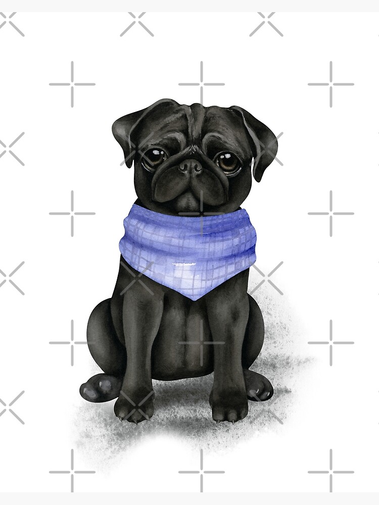 Cute Black Pug with Bandana Art Board Print for Sale by HappyLifeCreate