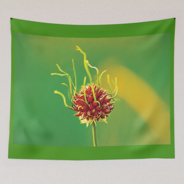 Item preview, ‘Wild Garlic’ - Allium vineale designed and sold by sleepingdogprod.