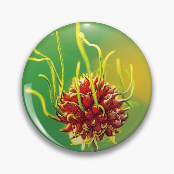 Item preview, ‘Wild Garlic’ - Allium vineale designed and sold by sleepingdogprod.
