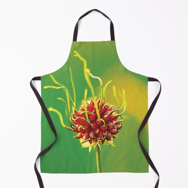 Item preview, ‘Wild Garlic’ - Allium vineale designed and sold by sleepingdogprod.
