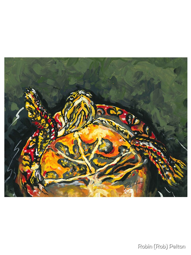 Thumbnail 4 of 4, Boxy T-Shirt, Michigan Painted Turtle designed and sold by ROBINPELTON.
