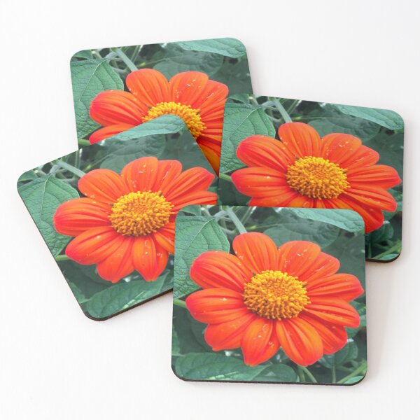 Item preview, Orange flower with lovely green leaves, This is my time of year designed and sold by Victornewyork.
