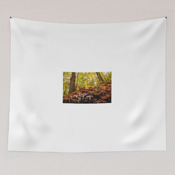 Item preview, October mushroom designed and sold by MIRCEA COSTINA.
