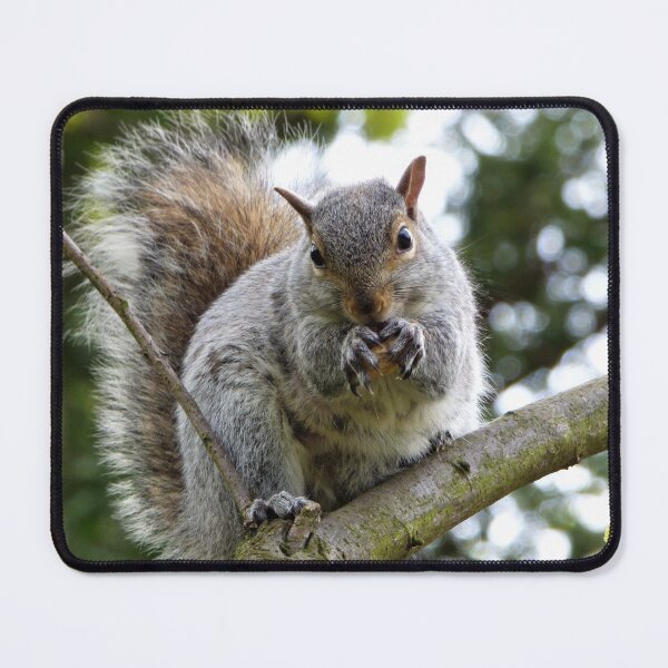 Item preview, Moohahaha Squirrel designed and sold by Ladymoose.