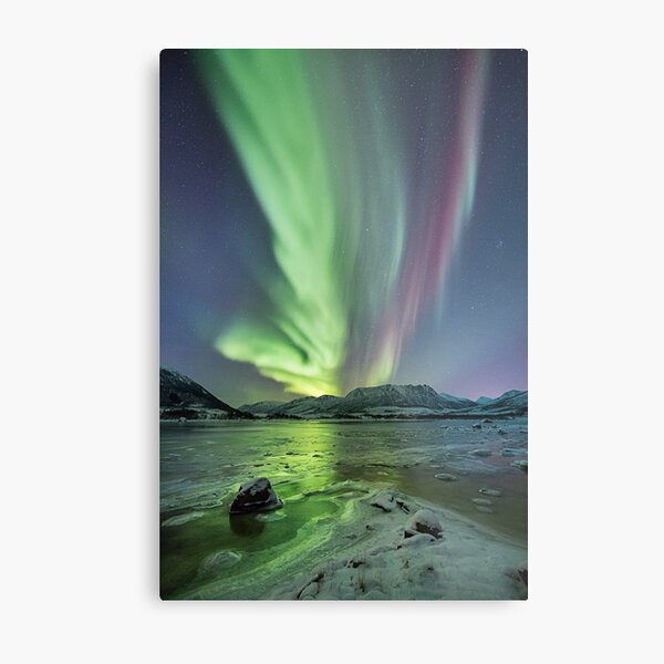 Raising Aurora Metal Print
