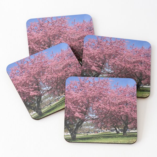 Item preview, Cherry Blossom trees, photo taken last year by me. designed and sold by Victornewyork.