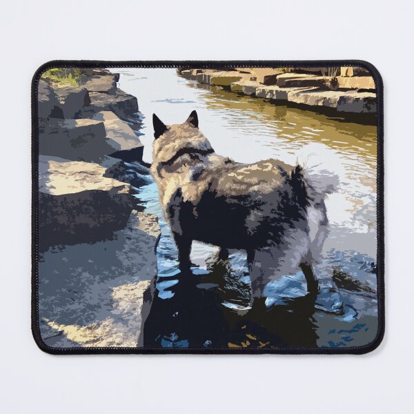 Item preview, Norwegian Elkhound Wading in Creek designed and sold by busybob.