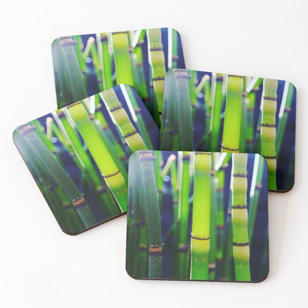 Item preview, Zebra grass in full sun designed and sold by yourartylife.