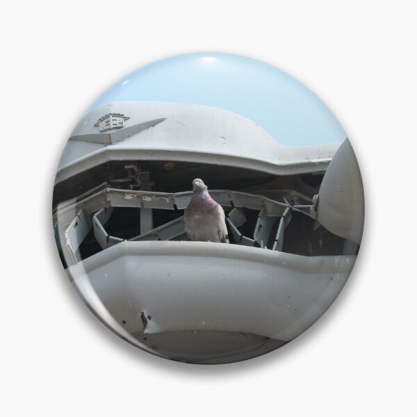 Item preview, Pigeon at Carhenge designed and sold by sebrahn.