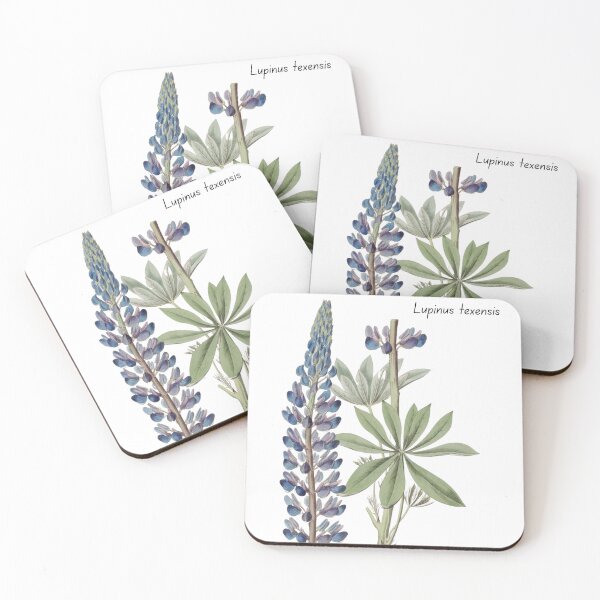Item preview, Texas Bluebonnet Botanical Art designed and sold by MochaMeli.