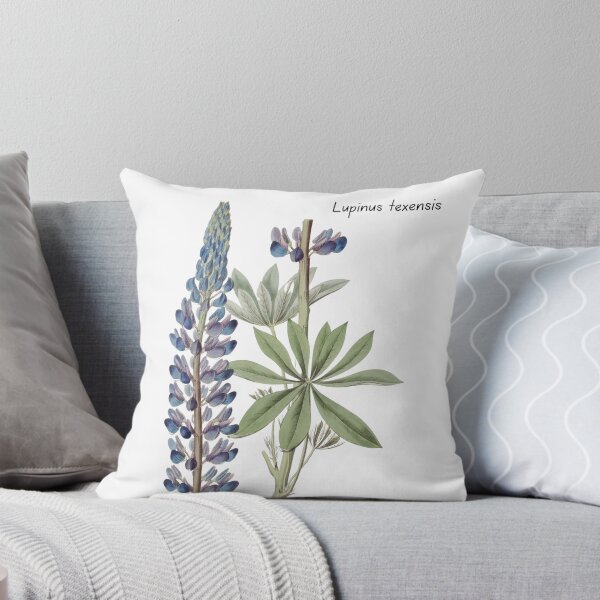 Item preview, Texas Bluebonnet Botanical Art designed and sold by MochaMeli.