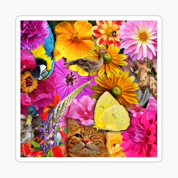 Item preview, crazy animal picture designed and sold by dedoma.