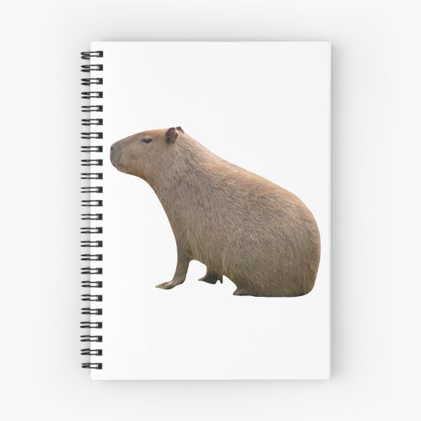 Item preview, Capybara Sits designed and sold by Mino Shop.