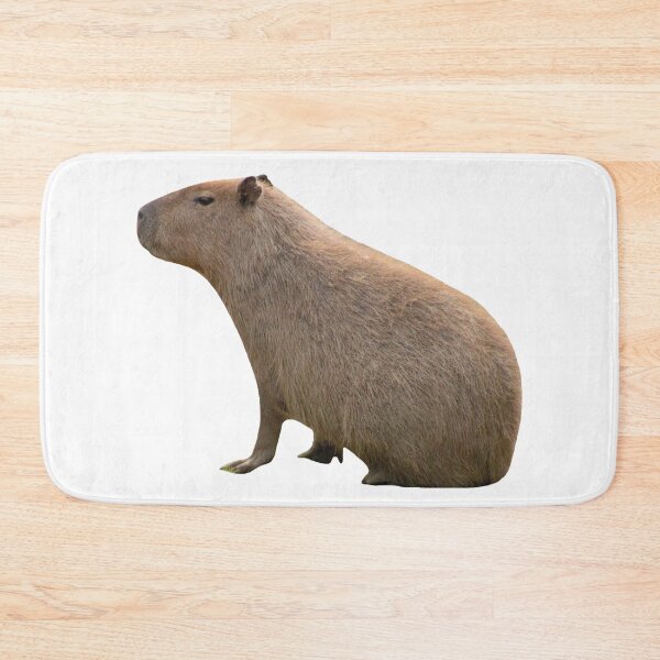 Item preview, Capybara Sits designed and sold by Mino Shop.