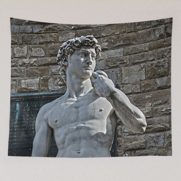 Item preview, The Statue of David (a copy) stands outside the Palazzo Vecchio in Florence Italy TRAVEL designed and sold by travel101.