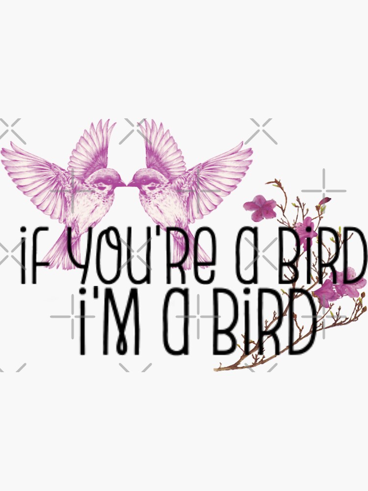 "Movie The Notebook Quote "If You're A Bird, I'm A Bird" [Sticker