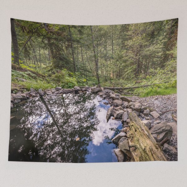 Item preview, Trees - Hot springs in Olympic National Park Washington, Cascadia - Travel Natural Hotsprings trees designed and sold by travel101.