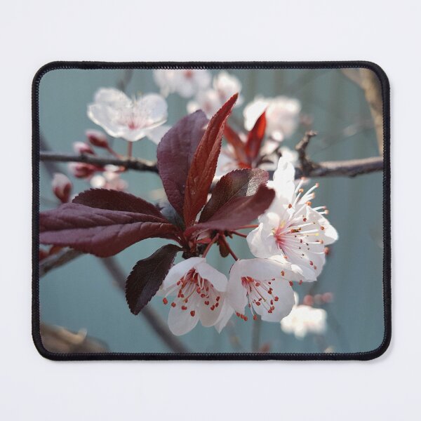 Item preview, Spring Blossom 4 designed and sold by Honey Myrtle Studio.