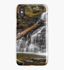 Nature Waterfall Autumn Mountains Ricketts Glen State Park Pennsylvania Waterfall iPhone Case/Skin