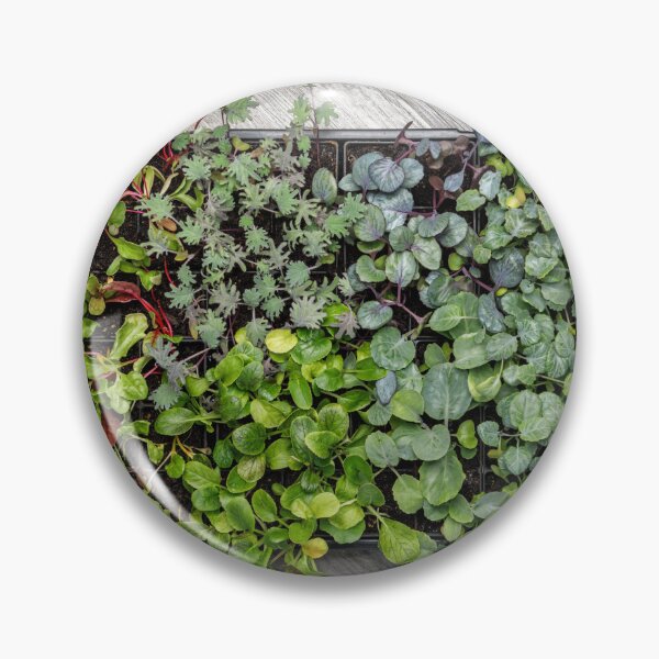 Item preview, Vegetable Seedling Tray designed and sold by Leslie Banks.