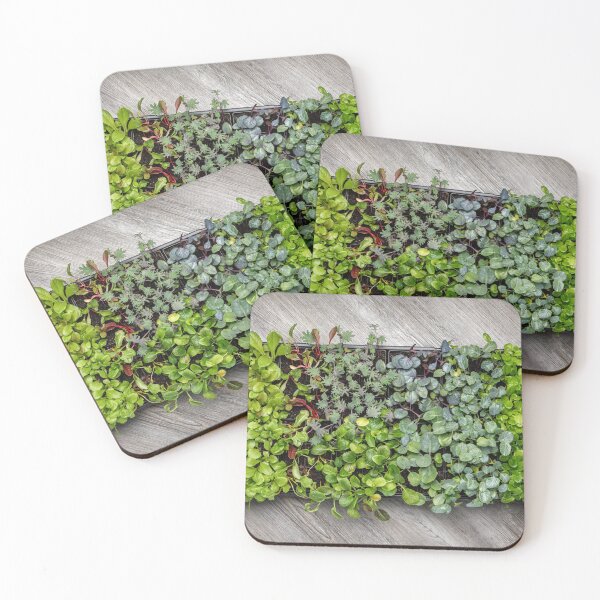 Item preview, Vegetable Seedling Tray designed and sold by Leslie Banks.