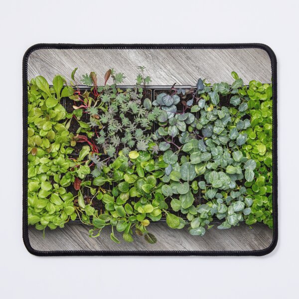 Item preview, Vegetable Seedling Tray designed and sold by Leslie Banks.