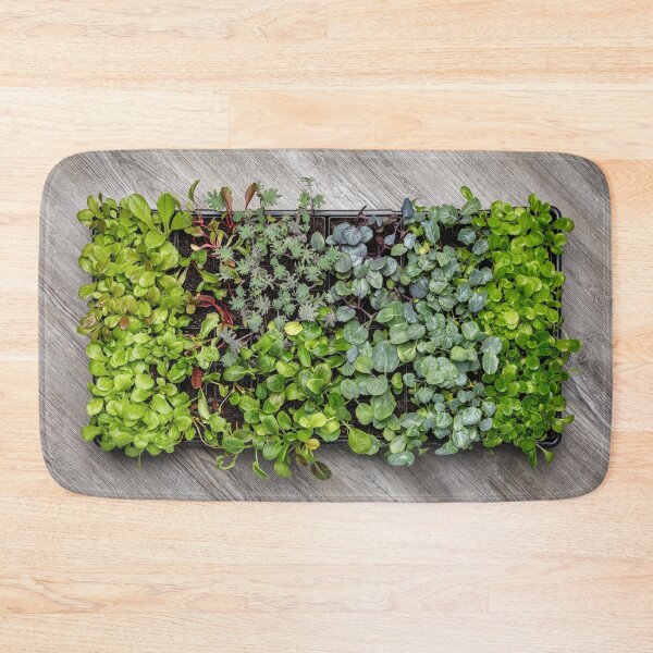 Item preview, Vegetable Seedling Tray designed and sold by Leslie Banks.