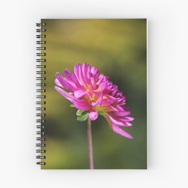 Item preview, Dahlia Dreaming designed and sold by Joy Watson - Natural Light Photography .