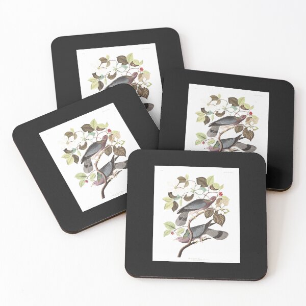 Item preview, Band-tailed Pigeon - John James Audubon Art Print designed and sold by BorenSandra.