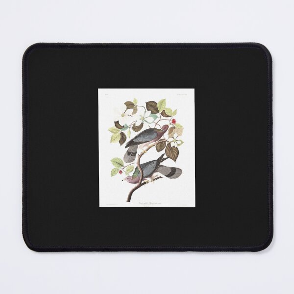 Item preview, Band-tailed Pigeon - John James Audubon Art Print designed and sold by BorenSandra.