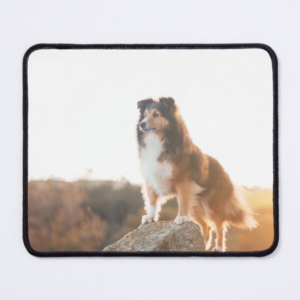 Item preview, Lassie come home designed and sold by Inspieation.