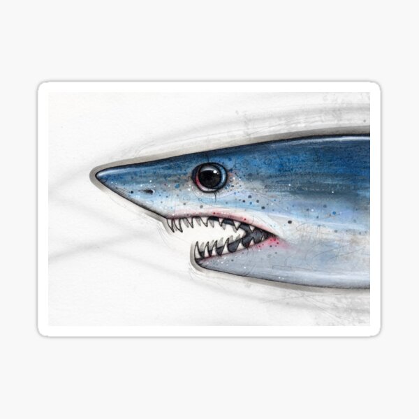 Item preview, Mako Study designed and sold by A Curious Bestiary.