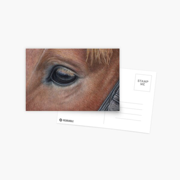 Its in the eye Postcard