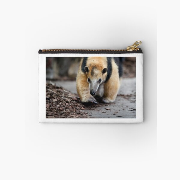 Item preview, Southern Tamandua designed and sold by Michelle Beaumont.