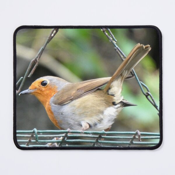 Item preview, robin designed and sold by KathleenDawson.