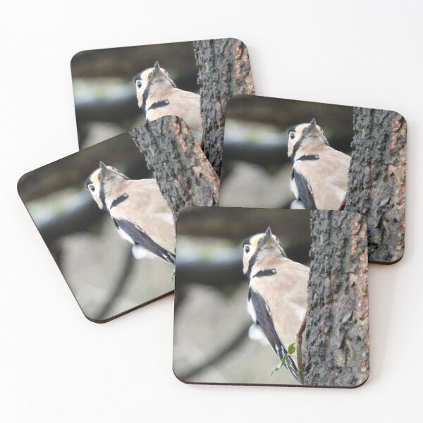 Item preview, woodpecker designed and sold by KathleenDawson.