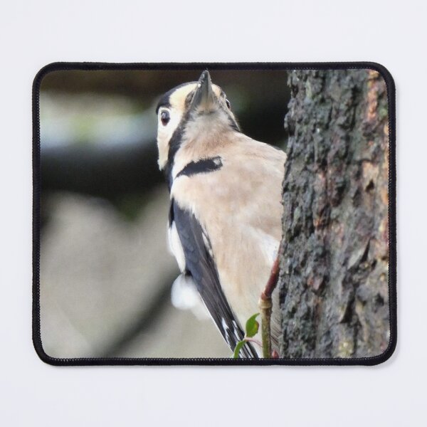 Item preview, woodpecker designed and sold by KathleenDawson.