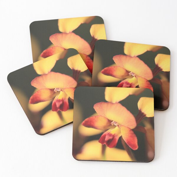 Item preview, The soft face of a Donkey Orchid (Diuris) designed and sold by Marilyn Harris.