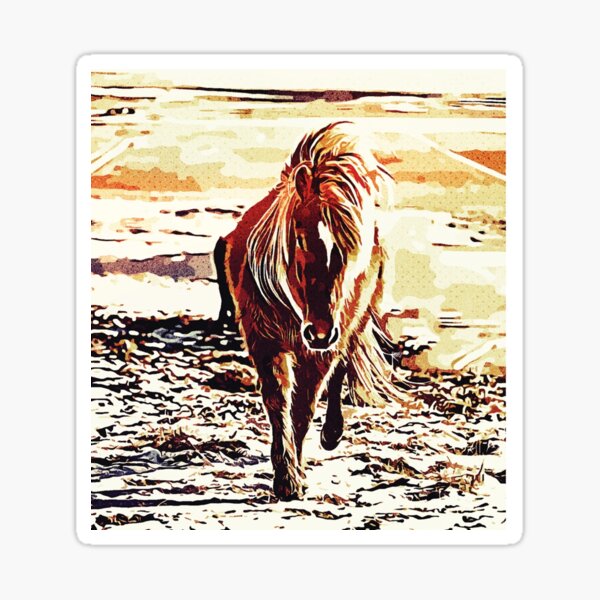 Shetlandpony Digitale Kunstdrucke Ärmelloses Top Sticker