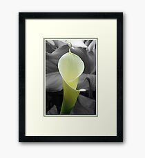 Twirled Framed Print