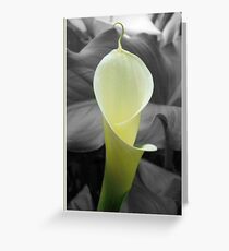 Twirled Greeting Card