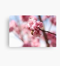 Buzzing Canvas Print