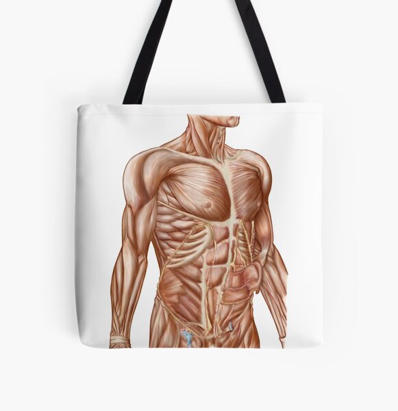 Anatomy Of Human Skin Tote Bag by Science Picture Co - Fine Art America