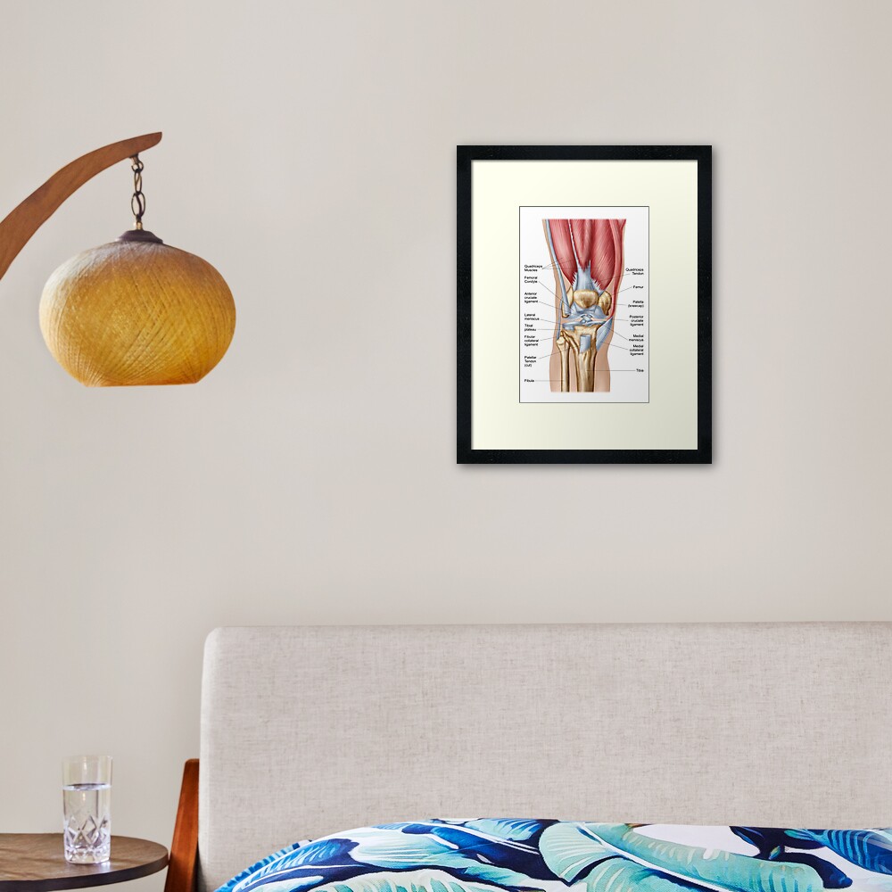 Anatomy of human knee joint. | Greeting Card