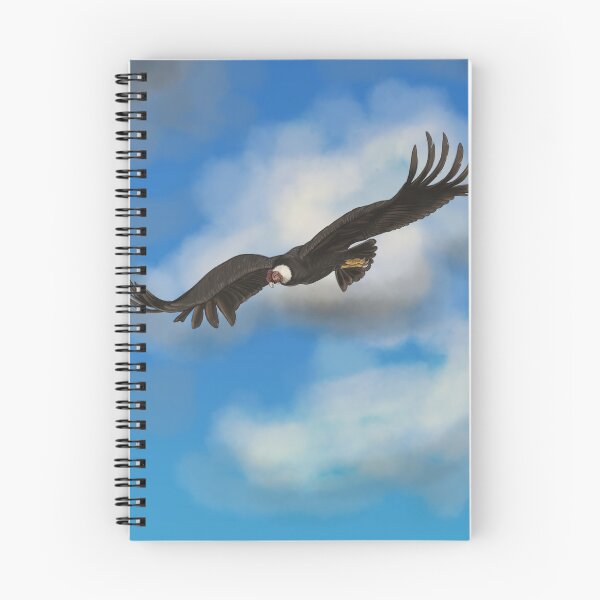 Item preview, Andean Condor (male) flying designed and sold by Julezdrawing.