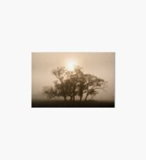 On fire in the fog - Tongala, Victoria, Australia Art Board