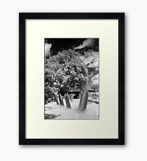 Gravestones Framed Print